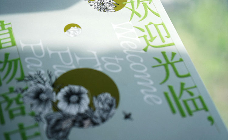 【平面设计】Ronny设计学堂孫容100天陪练计划平面设计100问